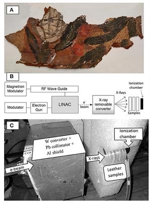 Effects of the Ionizing Radiation Disinfection Treatment on Historical Leather